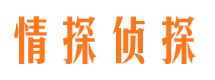 沈河婚外情调查取证